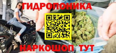 ГАЛЛЮЦИНОГЕННЫЕ ГРИБЫ Волжский
