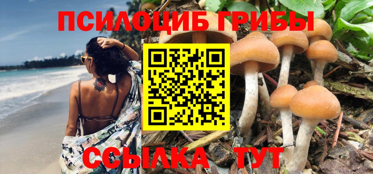 Галлюциногенные грибы GOLDEN TEACHER Лабинск
